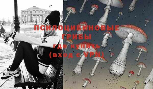 тгк Бронницы