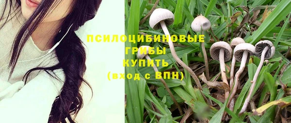 тгк Бронницы