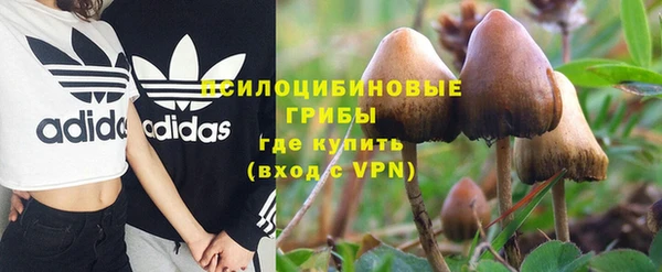 тгк Бронницы
