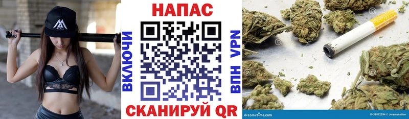 Купить  Томилино  Бошки Шишки White Widow 